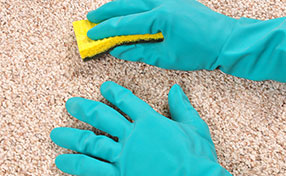Protect Carpets from Stains