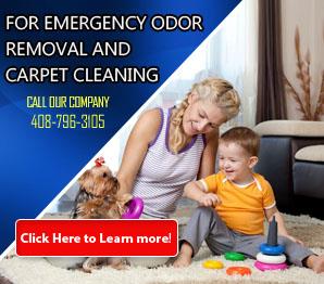 Tips | Carpet Cleaning Milpitas, CA